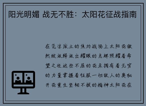 阳光明媚 战无不胜：太阳花征战指南